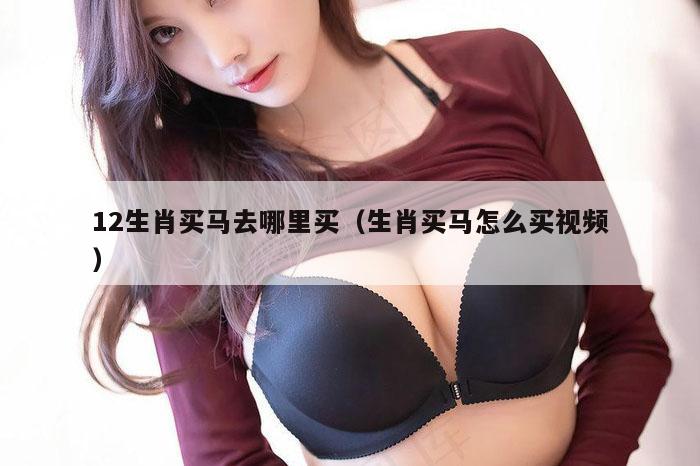 12生肖买马去哪里买（生肖买马怎么买视频）