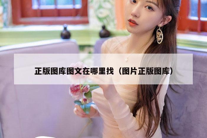 正版图库图文在哪里找（图片正版图库）