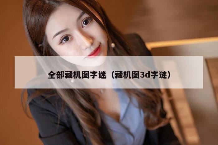 全部藏机图字迷(藏机图3d字谜)
