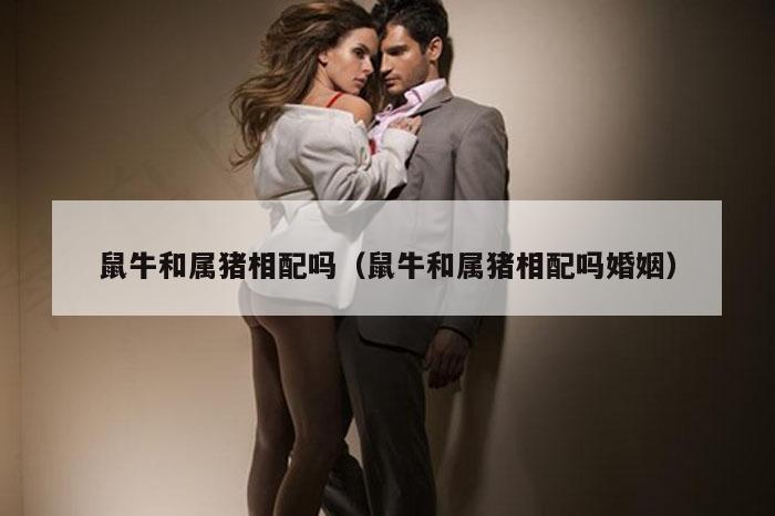 鼠牛和属猪相配吗（鼠牛和属猪相配吗婚姻）