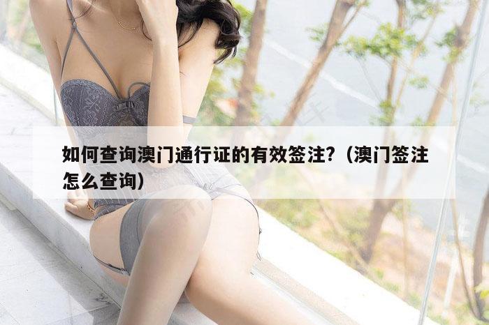 如何查询澳门通行证的有效签注?（澳门签注怎么查询）